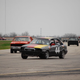 Illustration for article titled The 24 Hours Of LeMons Texas Gator-O-Rama Über Gallery: The Europeans